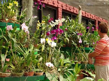 Dambulla_monastery,_Spicy-Farm,_Kandy,_DSC06429B_H600