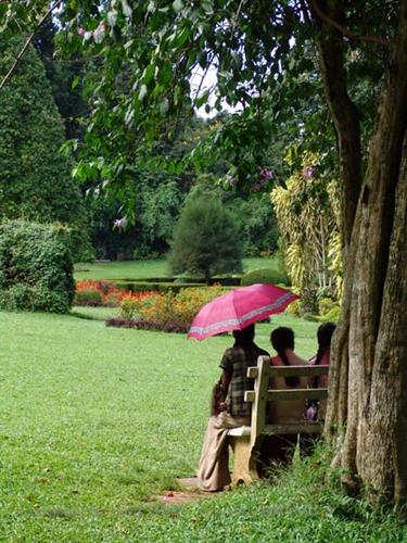 Dambulla_monastery,_Spicy-Farm,_Kandy,_DSC06441B_H600