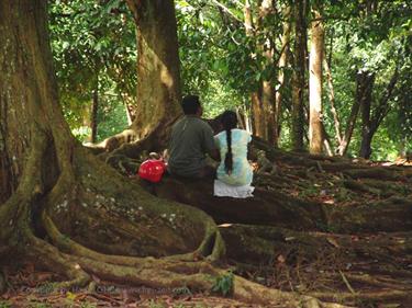 Dambulla_monastery,_Spicy-Farm,_Kandy,_DSC06454B_H600