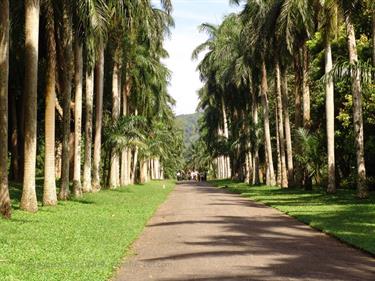 Dambulla_monastery,_Spicy-Farm,_Kandy,_DSC06456B_H600