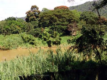 Dambulla_monastery,_Spicy-Farm,_Kandy,_DSC06461B_H600