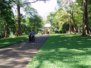 Dambulla_monastery,_Spicy-Farm,_Kandy,_DSC06473B_H600