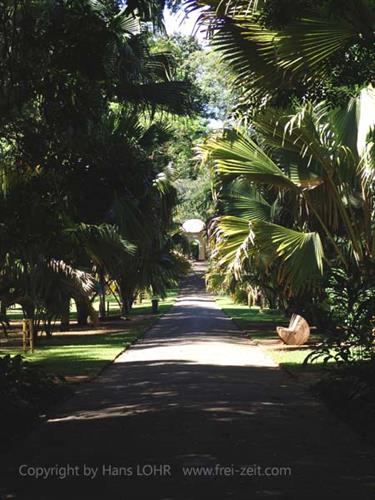 Dambulla_monastery,_Spicy-Farm,_Kandy,_DSC06479B_H600