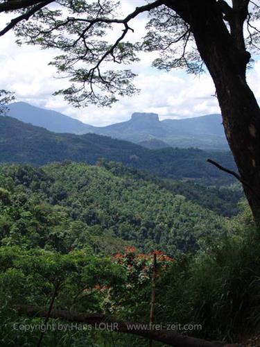 Dambulla_monastery,_Spicy-Farm,_Kandy,_DSC06497B_H600