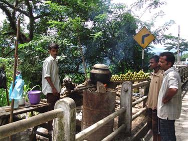 Kandy,_Elephant_camp,_DSC06503B_H600