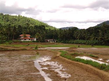 Kandy,_Elephant_camp,_DSC06507B_H600