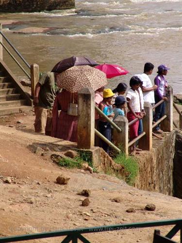 Kandy,_Elephant_camp,_DSC06573B_H600