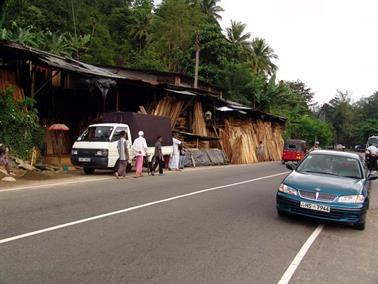 Kandy_to_Nuwara_Eliya,_DSC06784B_H600