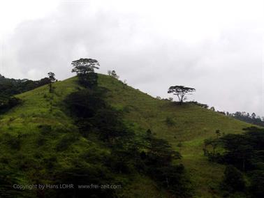 Kandy_to_Nuwara_Eliya,_DSC06827B_H600