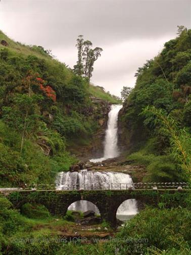 Kandy_to_Nuwara_Eliya,_DSC06831B_H600