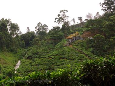 Kandy_to_Nuwara_Eliya,_DSC06862B_H600