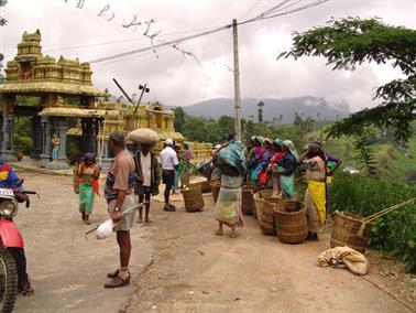 Kandy_to_Nuwara_Eliya,_DSC06863B_H600