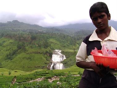 Kandy_to_Nuwara_Eliya,_DSC06883B_H600