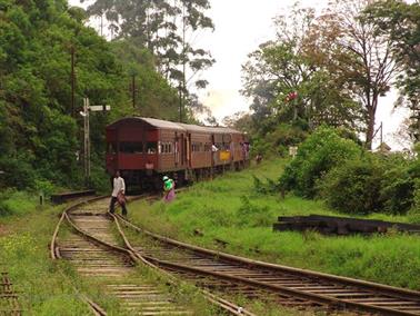 Kandy_to_Nuwara_Eliya,_DSC06890B_H600