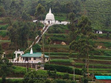 Kandy_to_Nuwara_Eliya,_DSC06909B_H600