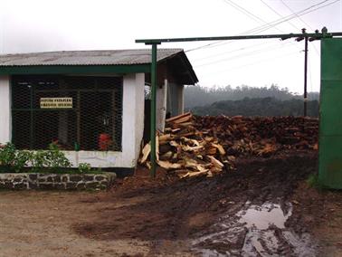 Kandy_to_Nuwara_Eliya,_DSC06916B_H600