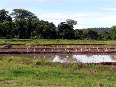 Polonnaruwa,_Minnerya_Watertank,_DSC06094B_H600