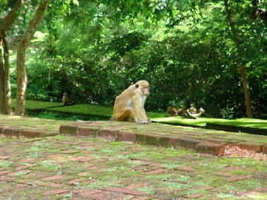 Polonnaruwa,_Minnerya_Watertank,_DSC06106B_H600