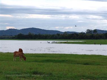 Polonnaruwa,_Minnerya_Watertank,_DSC06179B_H600