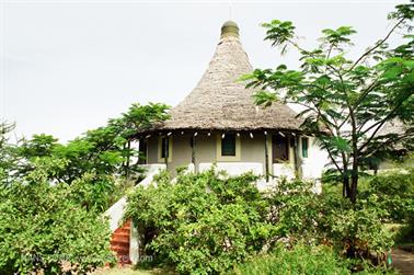 Safari_Tansania_1999_06_26,_83150321_720