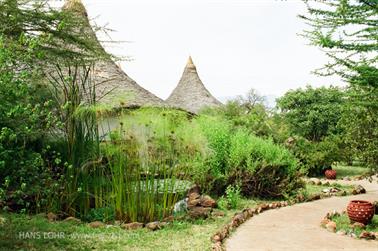 Safari_Tansania_1999_06_26,_83150324_720