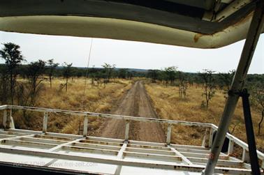 Safari_Tansania_1999_06_28,_83150224_720