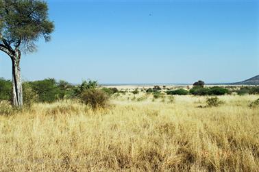 Safari_Tansania_1999_06_29,_83150193_720