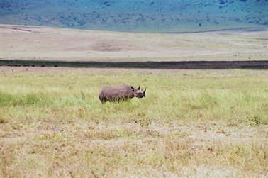 Safari_Tansania_1999_07_01,_83150104_720