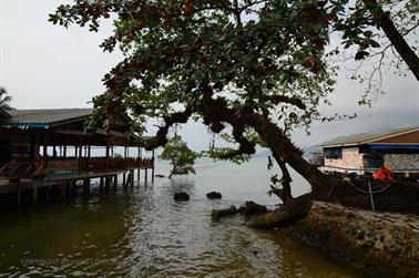 White-Sand-Beach-to-Klong-Prao-Beach,_DSC_0360_H600PxH488